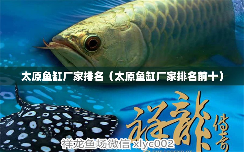 太原魚缸廠家排名（太原魚缸廠家排名前十） 其他品牌魚缸