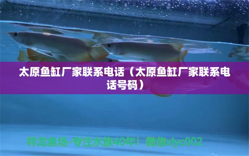 太原魚缸廠家聯(lián)系電話（太原魚缸廠家聯(lián)系電話號碼）