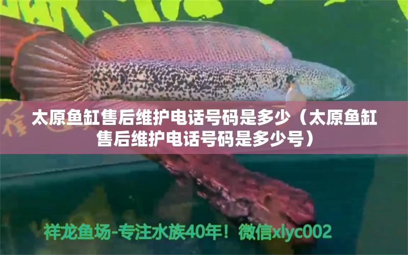 太原魚缸售后維護電話號碼是多少（太原魚缸售后維護電話號碼是多少號）