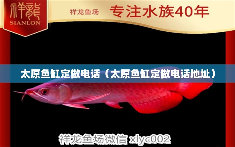 太原魚缸定做電話（太原魚缸定做電話地址） 其他品牌魚缸