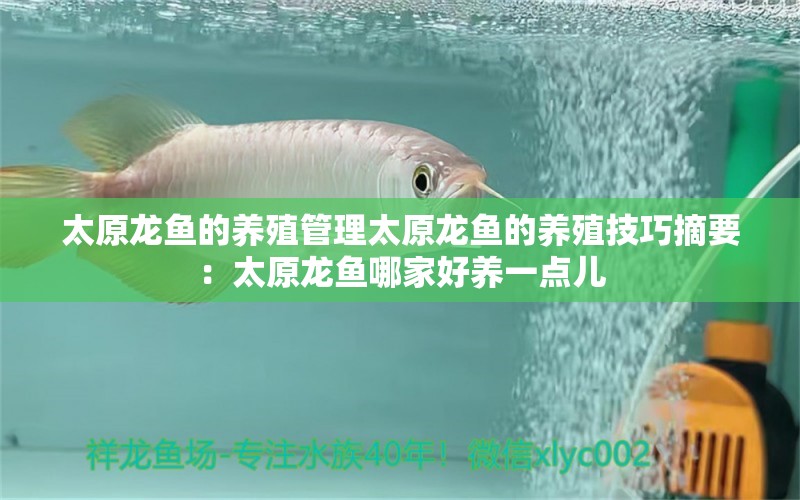 太原龍魚的養(yǎng)殖管理太原龍魚的養(yǎng)殖技巧摘要：太原龍魚哪家好養(yǎng)一點(diǎn)兒