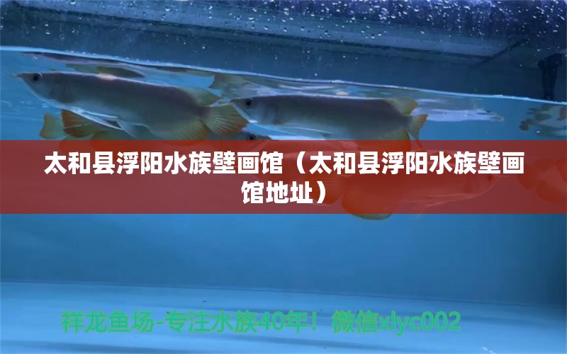 太和縣浮陽水族壁畫館（太和縣浮陽水族壁畫館地址）