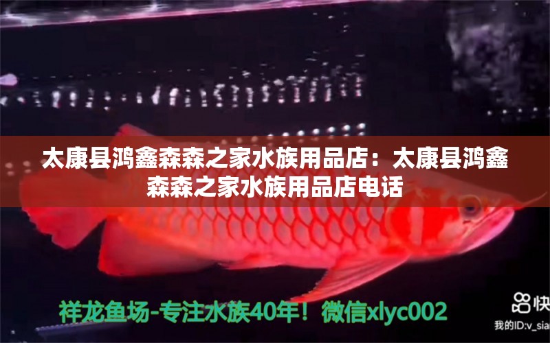 太康縣鴻鑫森森之家水族用品店：太康縣鴻鑫森森之家水族用品店電話 水族用品