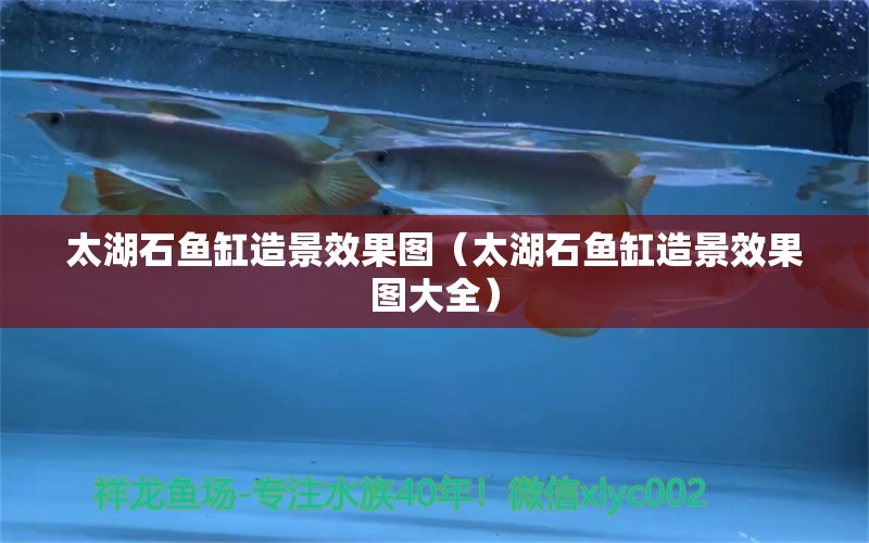 太湖石魚缸造景效果圖（太湖石魚缸造景效果圖大全） 祥龍水族醫(yī)院