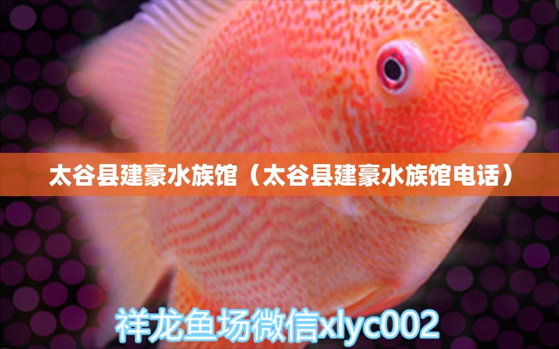 太谷縣建豪水族館（太谷縣建豪水族館電話）