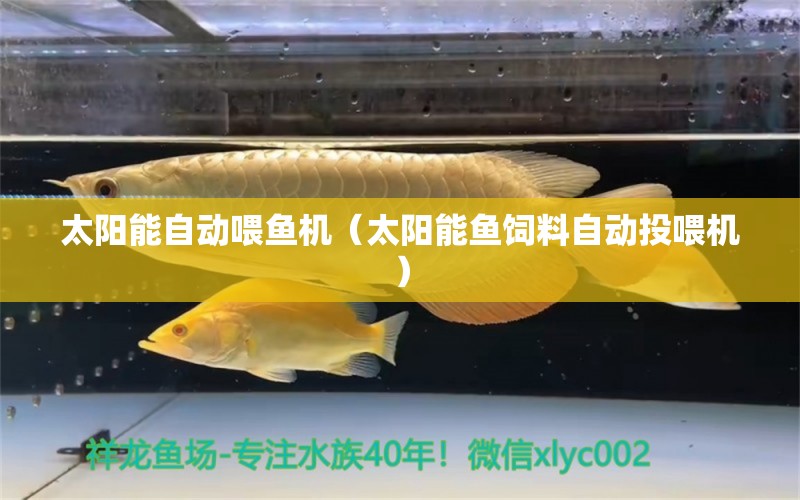 太陽能自動(dòng)喂魚機(jī)（太陽能魚飼料自動(dòng)投喂機(jī)）