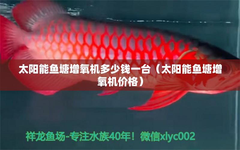 太陽能魚塘增氧機多少錢一臺（太陽能魚塘增氧機價格）