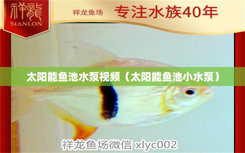 太陽能魚池水泵視頻（太陽能魚池小水泵）