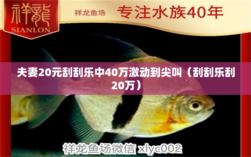 夫妻20元刮刮樂中40萬激動(dòng)到尖叫（刮刮樂刮20萬） 金三間魚