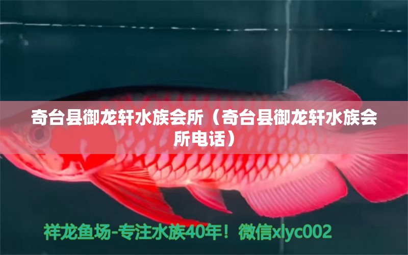 奇臺縣御龍軒水族會所（奇臺縣御龍軒水族會所電話）