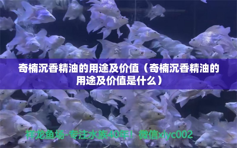 奇楠沉香精油的用途及價(jià)值（奇楠沉香精油的用途及價(jià)值是什么）