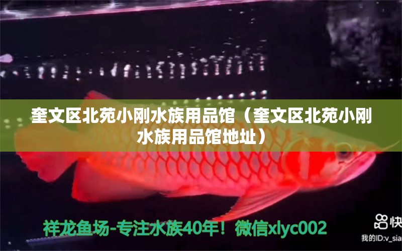 奎文區(qū)北苑小剛水族用品館（奎文區(qū)北苑小剛水族用品館地址）