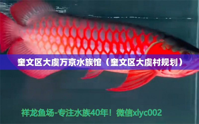 奎文區(qū)大虞萬京水族館（奎文區(qū)大虞村規(guī)劃） 全國水族館企業(yè)名錄