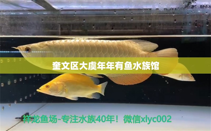 奎文區(qū)大虞年年有魚水族館 全國水族館企業(yè)名錄