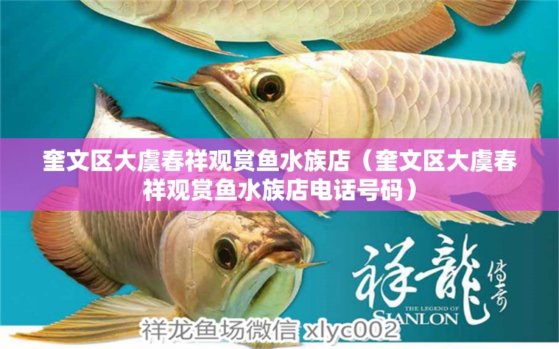 奎文區(qū)大虞春祥觀賞魚(yú)水族店（奎文區(qū)大虞春祥觀賞魚(yú)水族店電話號(hào)碼） 全國(guó)水族館企業(yè)名錄