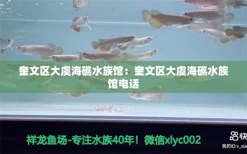 奎文區(qū)大虞海礁水族館：奎文區(qū)大虞海礁水族館電話 全國水族館企業(yè)名錄