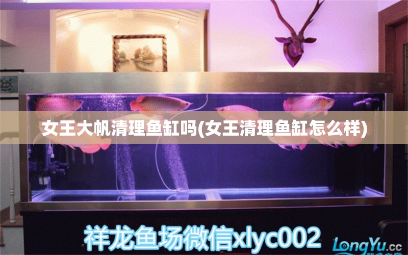 女王大帆清理魚缸嗎(女王清理魚缸怎么樣) 女王大帆魚