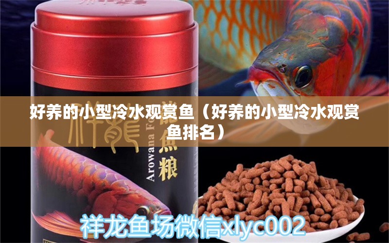 好養(yǎng)的小型冷水觀賞魚（好養(yǎng)的小型冷水觀賞魚排名）