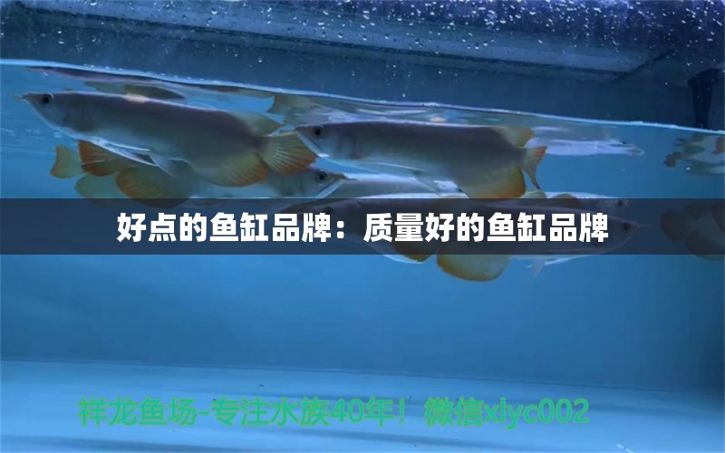 好點(diǎn)的魚缸品牌：質(zhì)量好的魚缸品牌 廣州龍魚批發(fā)市場