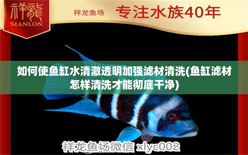 如何使魚缸水清澈透明加強濾材清洗(魚缸濾材怎樣清洗才能徹底干凈) 金頭過背金龍魚 第1張