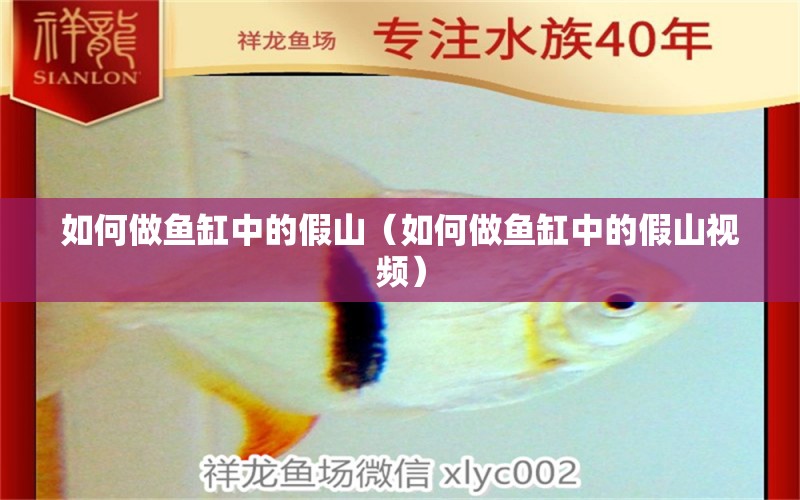 如何做魚缸中的假山（如何做魚缸中的假山視頻） 黃金眼鏡蛇雷龍魚