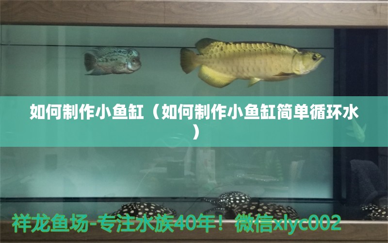 如何制作小魚缸（如何制作小魚缸簡單循環(huán)水）