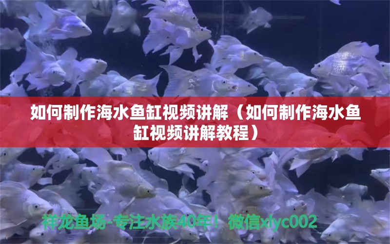 如何制作海水魚(yú)缸視頻講解（如何制作海水魚(yú)缸視頻講解教程） 海水魚(yú)