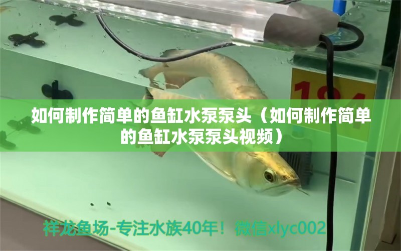 如何制作簡單的魚缸水泵泵頭（如何制作簡單的魚缸水泵泵頭視頻） 魚缸水泵