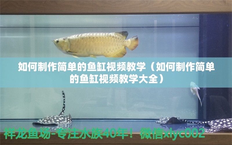 如何制作簡單的魚缸視頻教學（如何制作簡單的魚缸視頻教學大全）