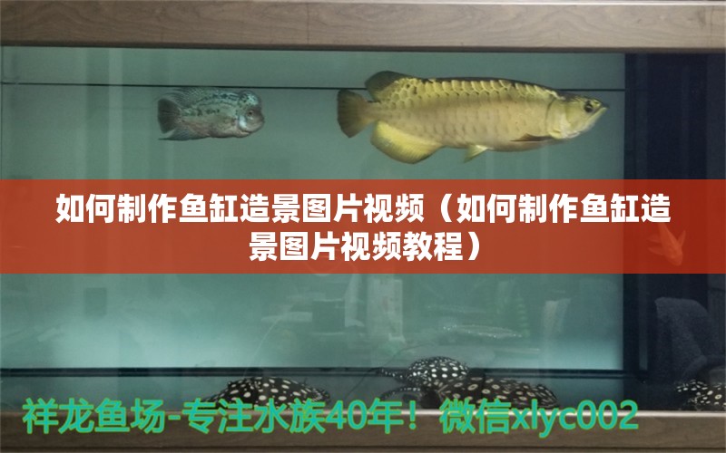 如何制作魚(yú)缸造景圖片視頻（如何制作魚(yú)缸造景圖片視頻教程）