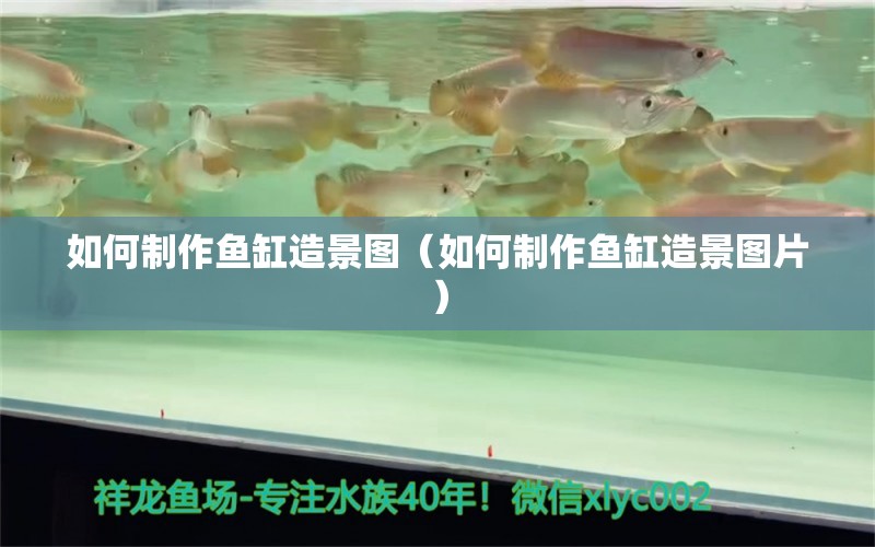 如何制作魚缸造景圖（如何制作魚缸造景圖片） 祥龍水族醫(yī)院