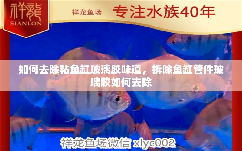 如何去除粘魚缸玻璃膠味道，拆除魚缸管件玻璃膠如何去除