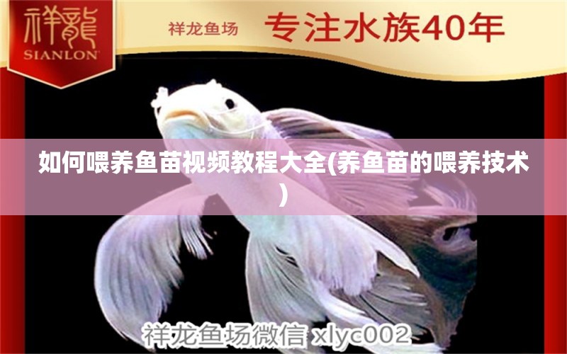 如何喂養(yǎng)魚苗視頻教程大全(養(yǎng)魚苗的喂養(yǎng)技術(shù)) 白玉紅龍魚