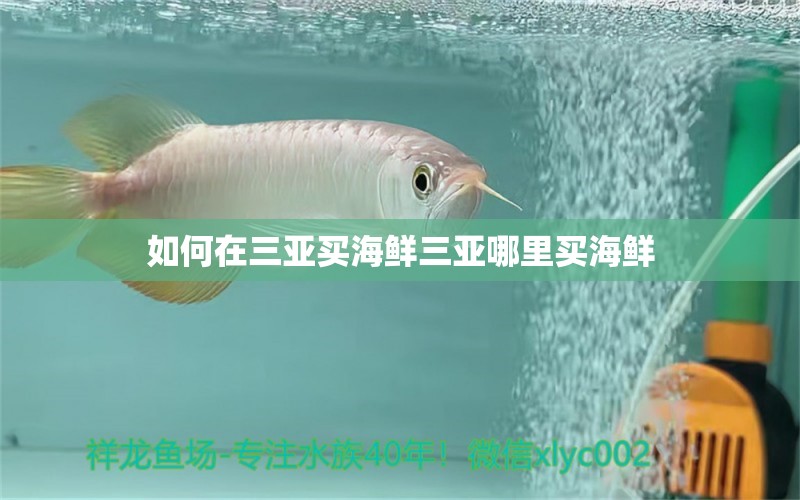 如何在三亞買(mǎi)海鮮三亞哪里買(mǎi)海鮮 養(yǎng)魚(yú)知識(shí)