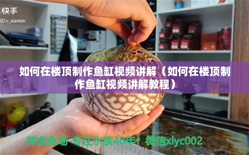 如何在樓頂制作魚缸視頻講解（如何在樓頂制作魚缸視頻講解教程） 祥龍水族醫(yī)院