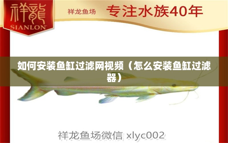 如何安裝魚缸過濾網(wǎng)視頻（怎么安裝魚缸過濾器）