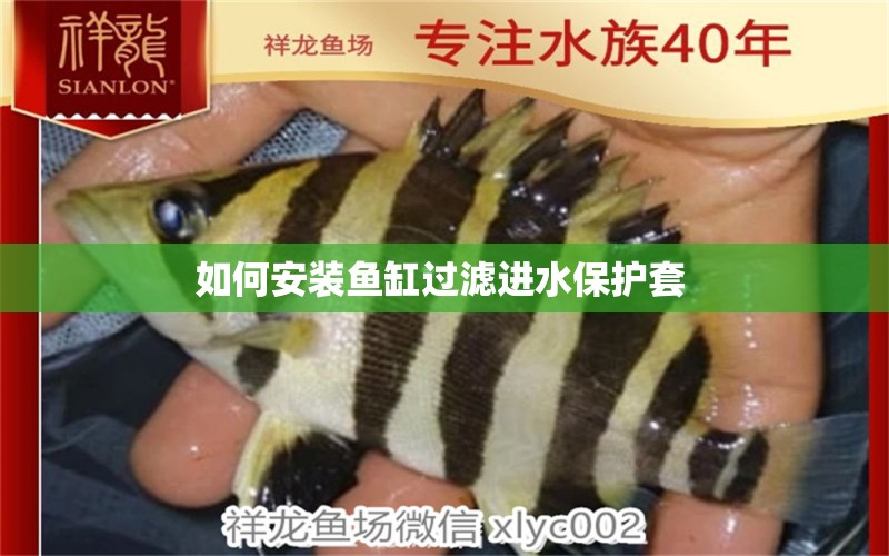 如何安裝魚缸過濾進水保護套 