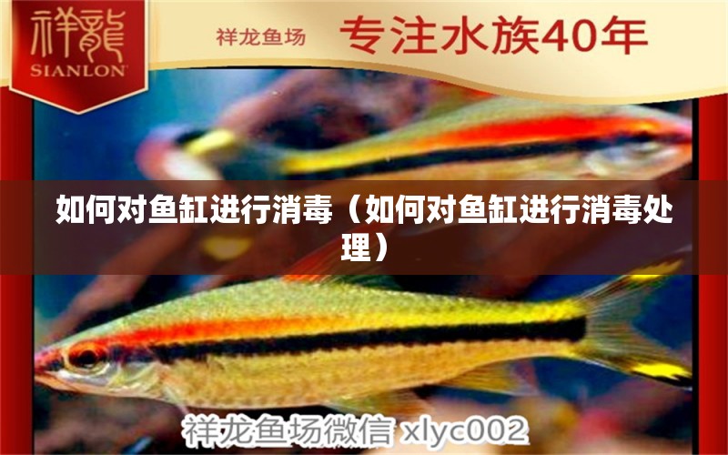 如何對魚缸進(jìn)行消毒（如何對魚缸進(jìn)行消毒處理） 觀賞魚