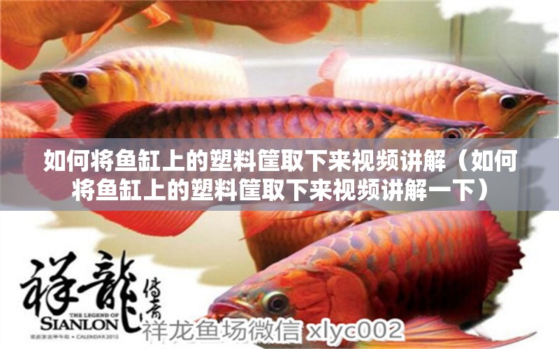 如何將魚(yú)缸上的塑料筐取下來(lái)視頻講解（如何將魚(yú)缸上的塑料筐取下來(lái)視頻講解一下） 黃鰭鯧魚(yú)