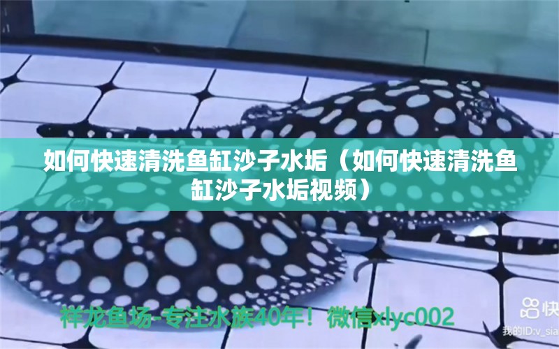 如何快速清洗魚缸沙子水垢（如何快速清洗魚缸沙子水垢視頻）