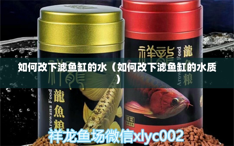 如何改下濾魚缸的水（如何改下濾魚缸的水質） 祥龍水族醫(yī)院