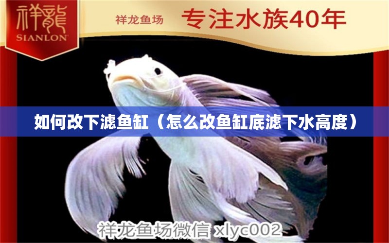 如何改下濾魚(yú)缸（怎么改魚(yú)缸底濾下水高度） 銀龍魚(yú)百科 第1張