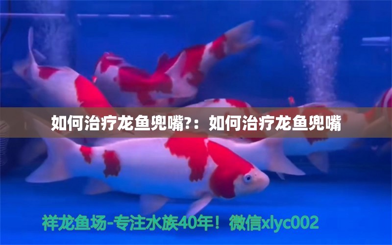 如何治療龍魚(yú)兜嘴?：如何治療龍魚(yú)兜嘴 水族維護(hù)服務(wù)（上門(mén)）