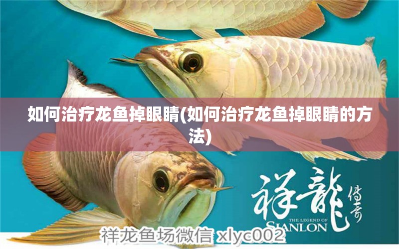 如何治療龍魚掉眼睛(如何治療龍魚掉眼睛的方法) 水溫計