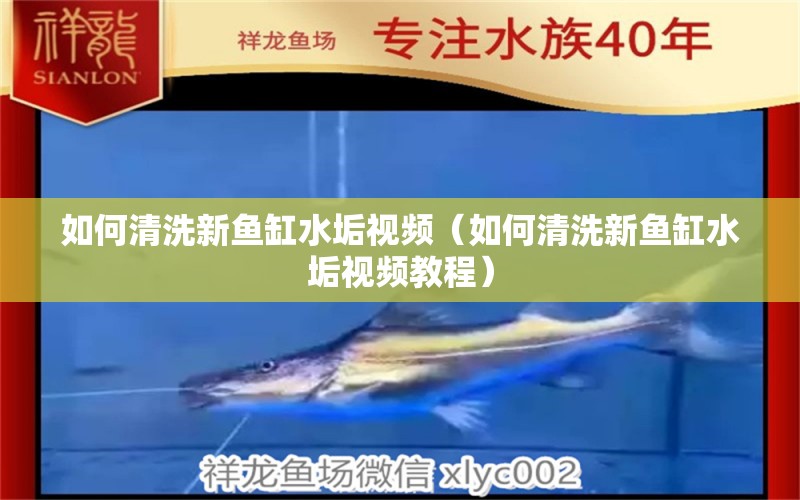 如何清洗新魚(yú)缸水垢視頻（如何清洗新魚(yú)缸水垢視頻教程）