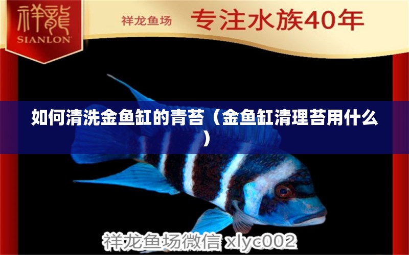 如何清洗金魚缸的青苔（金魚缸清理苔用什么） 魚缸水泵