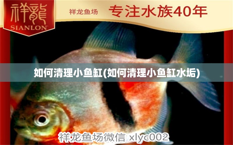 如何清理小魚缸(如何清理小魚缸水垢) 其它水族用具設(shè)備