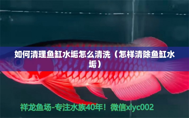 如何清理魚缸水垢怎么清洗（怎樣清除魚缸水垢） 照明器材