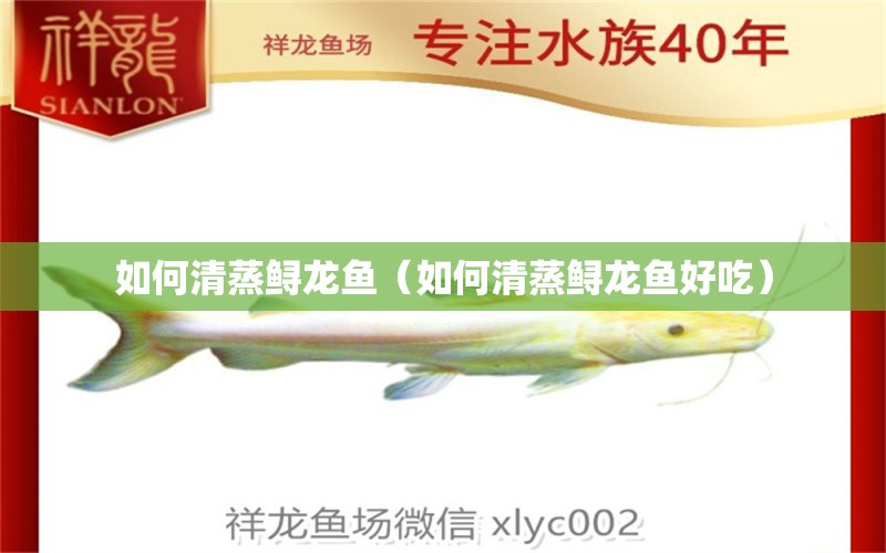 如何清蒸鱘龍魚（如何清蒸鱘龍魚好吃）