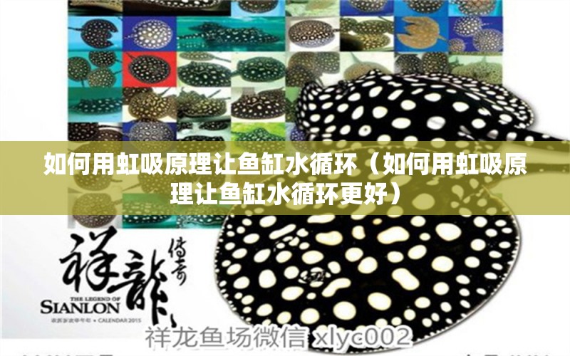 如何用虹吸原理讓魚(yú)缸水循環(huán)（如何用虹吸原理讓魚(yú)缸水循環(huán)更好）